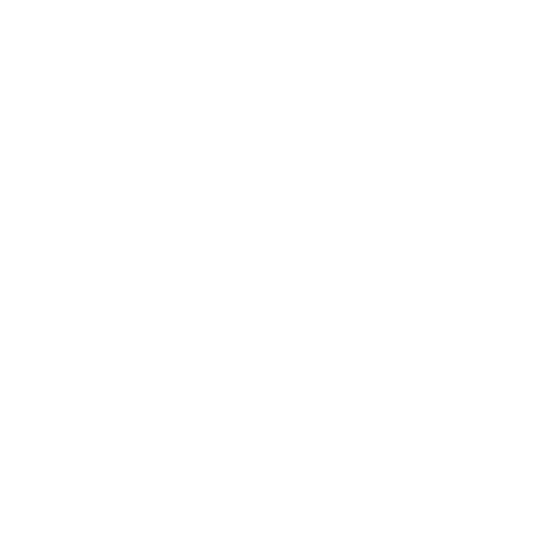 Palacio de Hierro